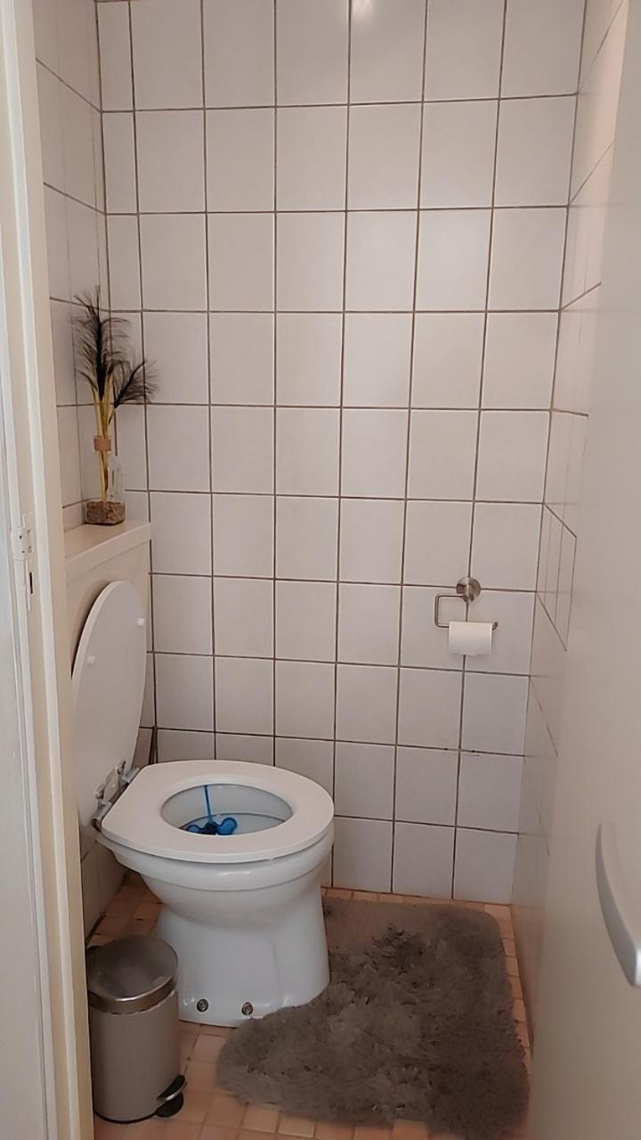 Cozy Room In Host House Near Rotterdam ماسلاوس المظهر الخارجي الصورة