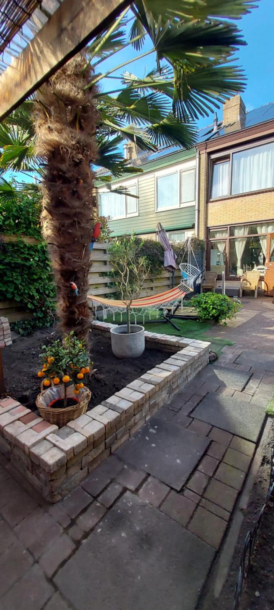 Cozy Room In Host House Near Rotterdam ماسلاوس المظهر الخارجي الصورة